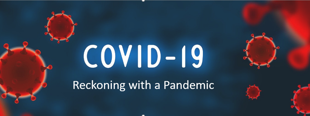 Reckoning with a Pandemic:  COVID-19 Healthcare Considerations